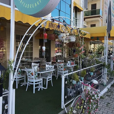 Suitline Samsun